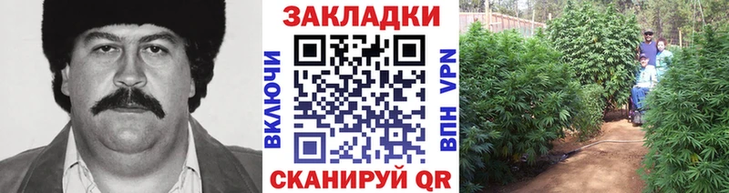 Купить наркотики Змеиногорск ГАШ APVP Галлюциногенные грибы Конопля Меф мяу мяу