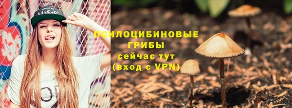 спайс Алексин