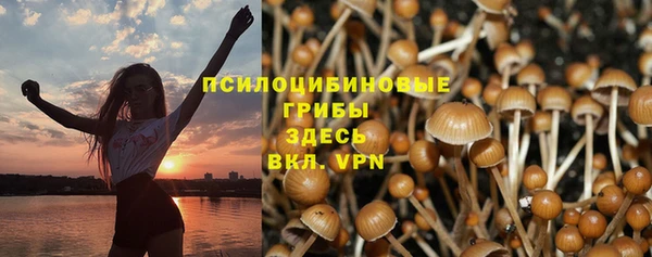 спайс Алексин