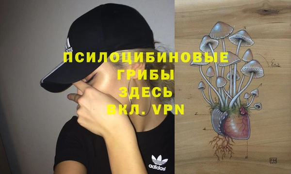 спайс Алексин